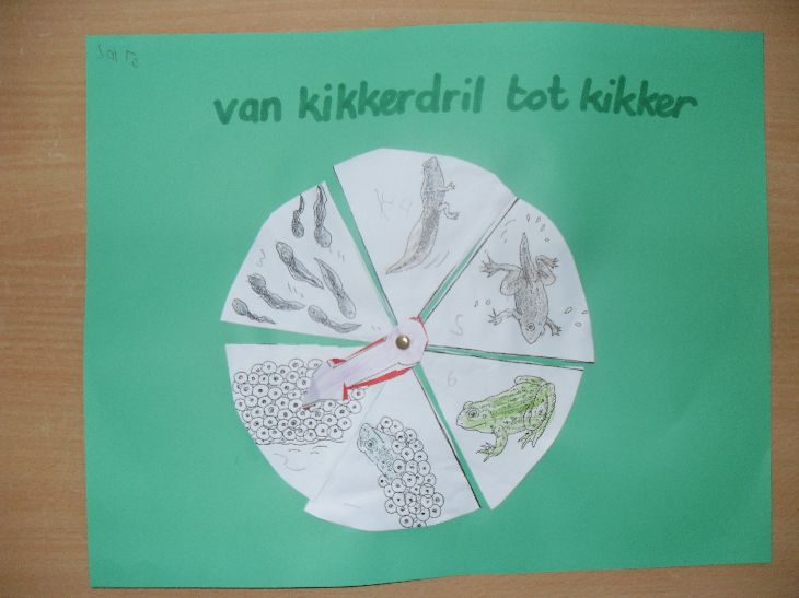 Het verhaal van eend - Juf Leonie