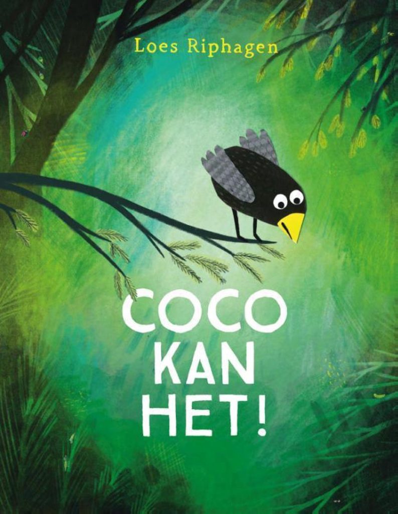 boek coco kan het